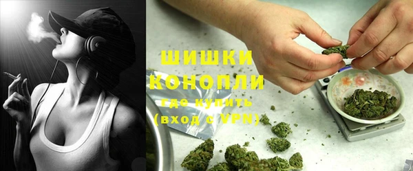 индика Новодвинск