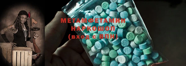индика Новодвинск