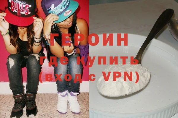 индика Новодвинск