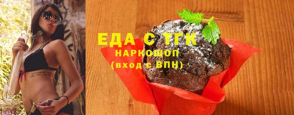 индика Новодвинск