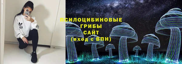 индика Новодвинск