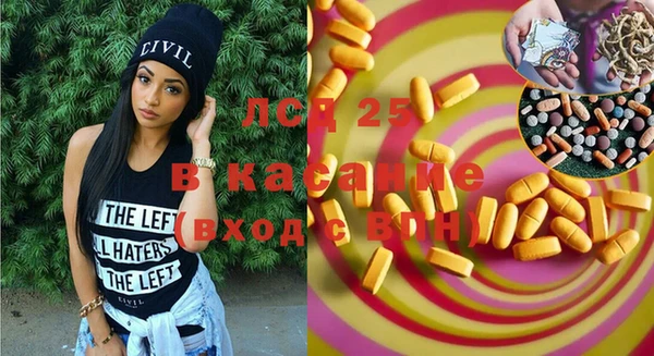 индика Новодвинск