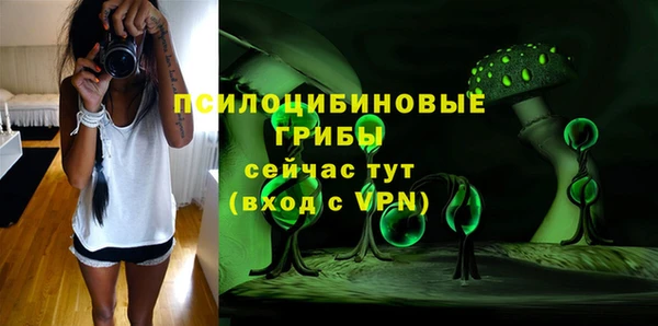 индика Новодвинск