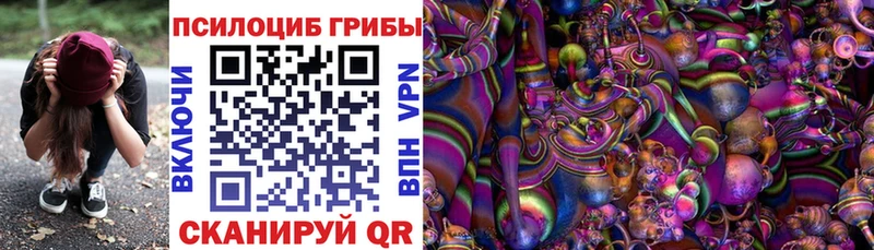 Галлюциногенные грибы Psilocybine cubensis  Челябинск 